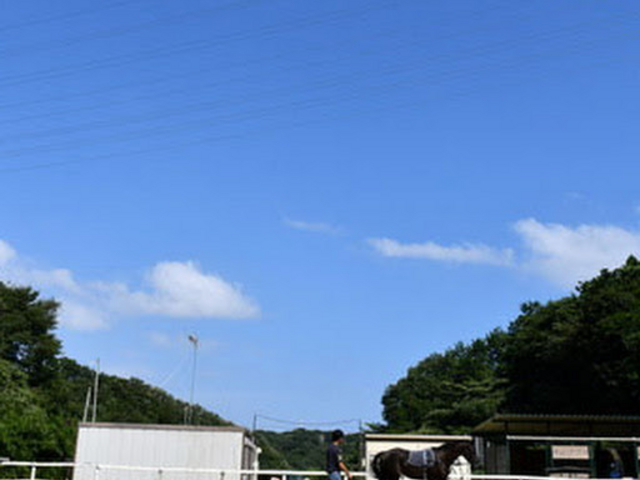 OISO 乗馬 クラブ