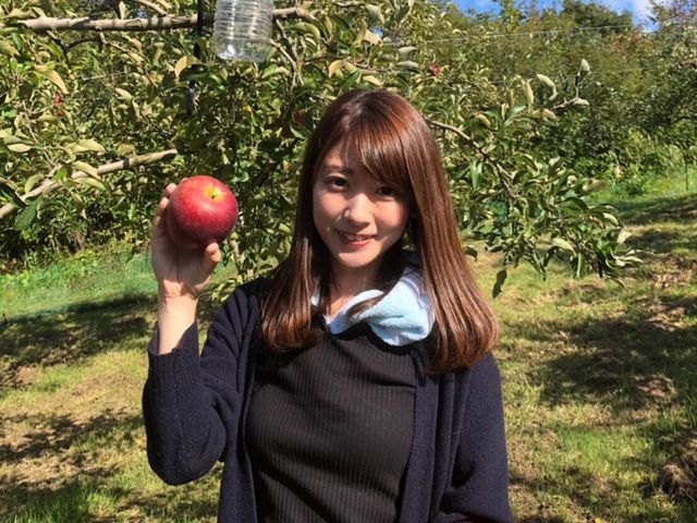 地渡りんご園