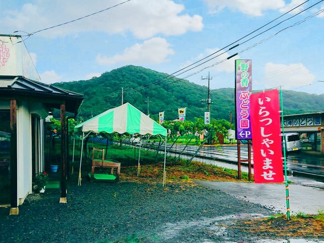 野の香ぶどう園