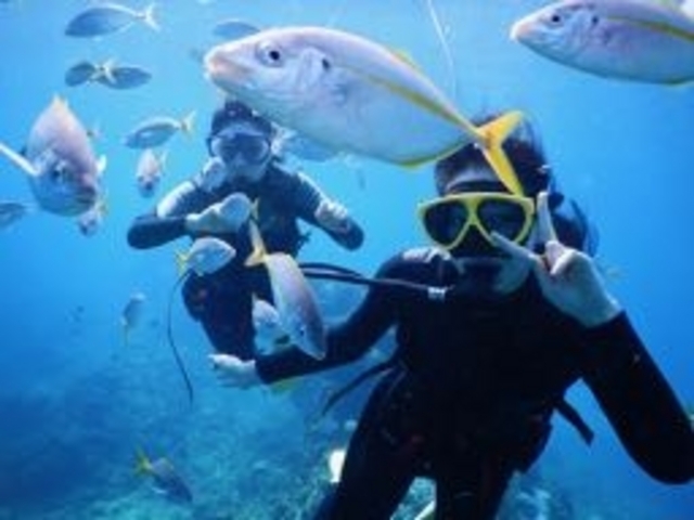NINZ式根島 SCUBA LIGHT