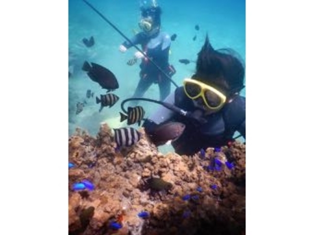 NINZ式根島 SCUBA LIGHT
