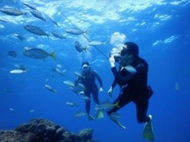 NINZ式根島 SCUBA LIGHT