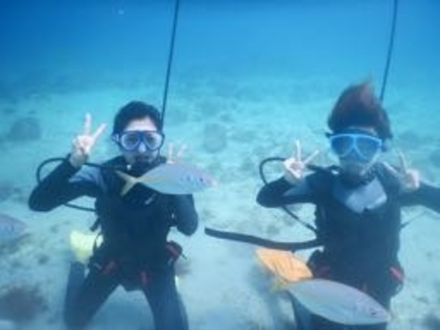 NINZ式根島 SCUBA LIGHT
