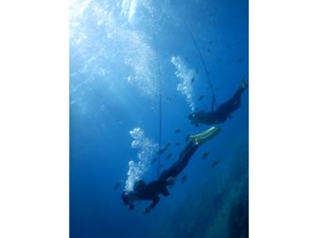 NINZ式根島 SCUBA LIGHT