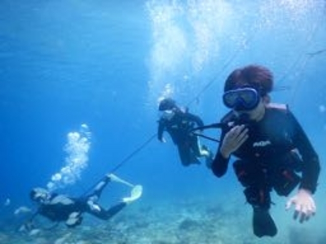 NINZ式根島 SCUBA LIGHT