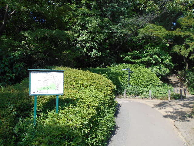 田園調布せせらぎ公園