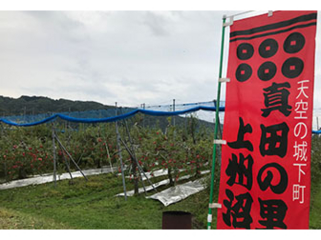 孝道りんご園