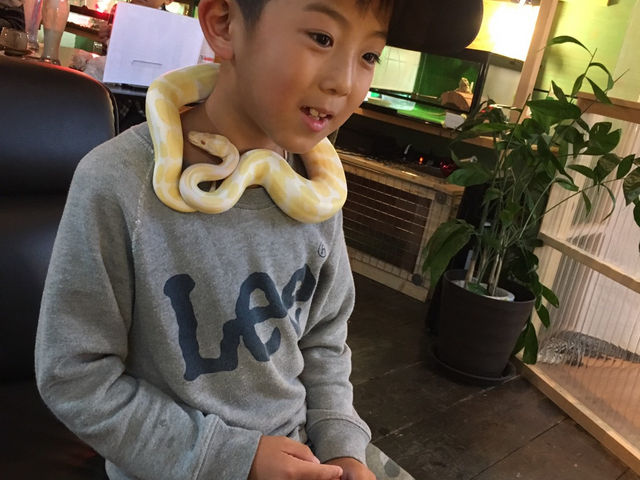 爬虫れぼ