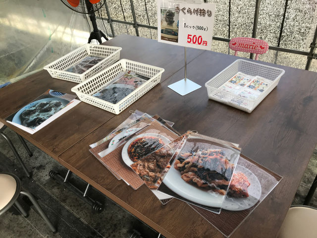 ともちゃん農園