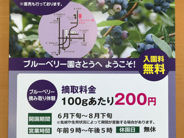 ブルーベリー園さとう