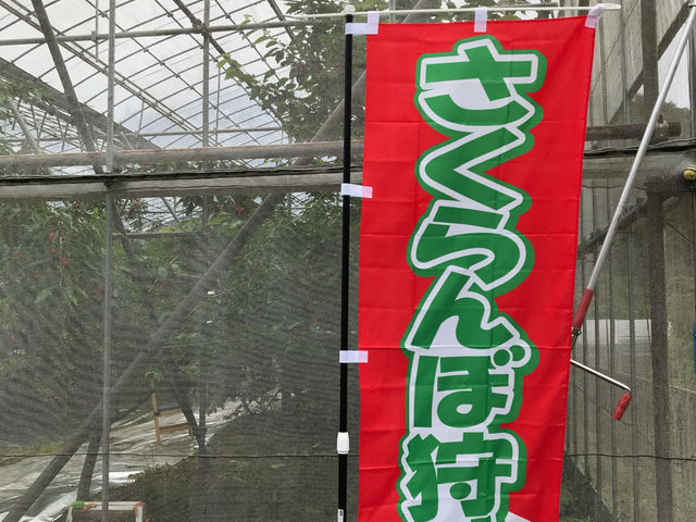 齊藤フルーツ