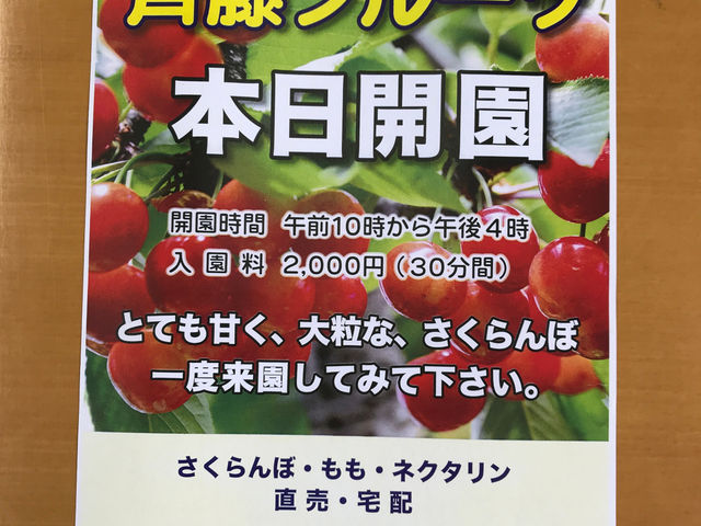 齊藤フルーツ