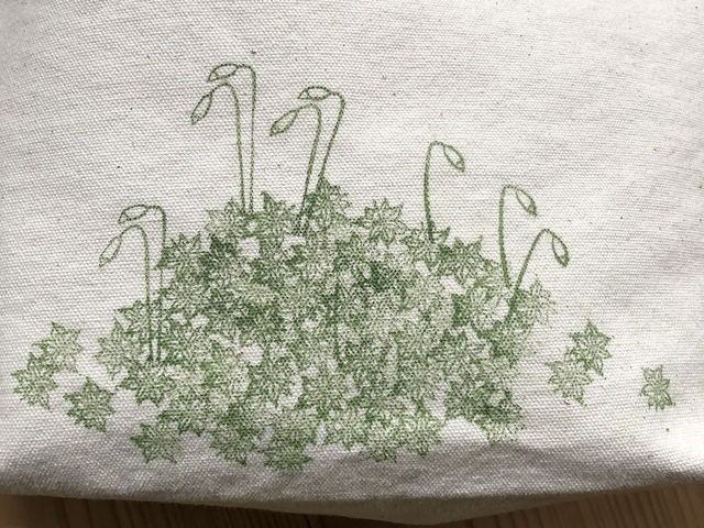 苔庵coquea