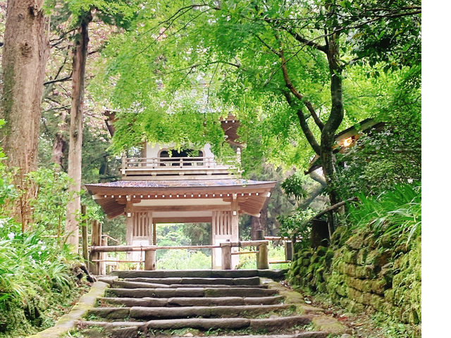 北鎌倉にも歴史ある素敵なお寺があります!
_ミラクルミホの鎌倉散歩ツアー