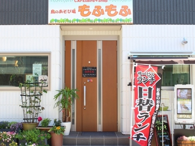 鳥の遊び場 もふもふ