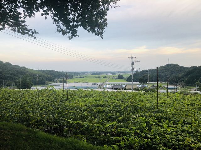 山の上にあるので、景色が抜群です☆_立花園