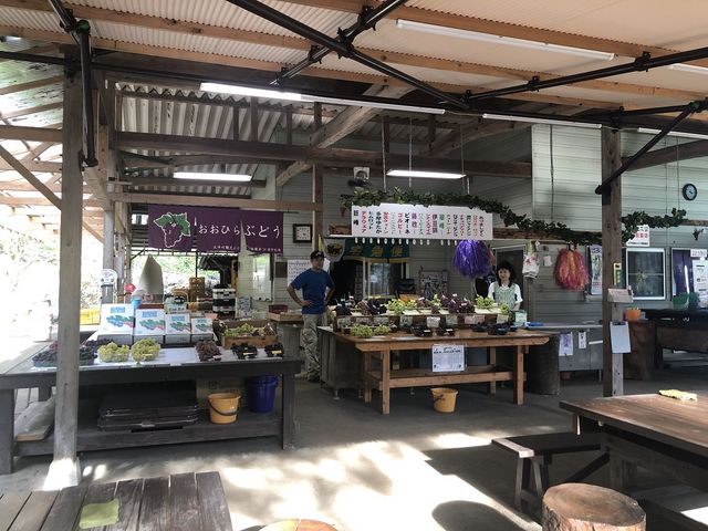 多品種栽培しているんので、お土産に他のぶどうもいかがですか?_立花園