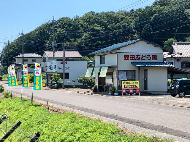 森田ぶどう園