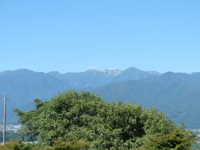 工房からの眺望_夏_山の木窯