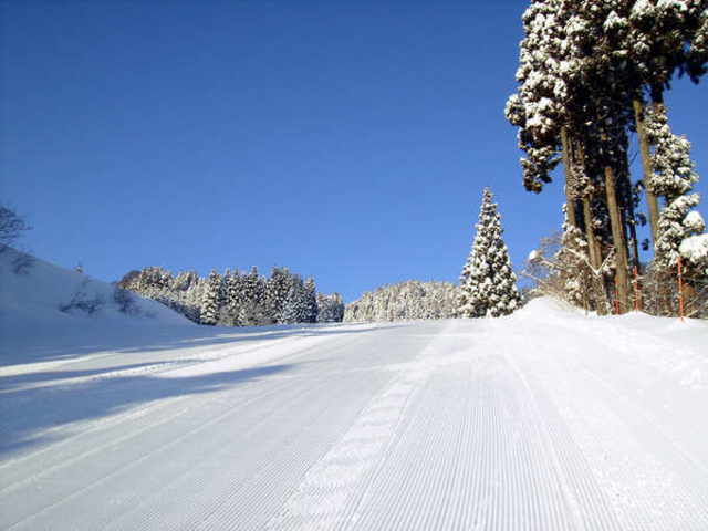 関西随一の規模と積雪量を誇るゲレンデです。_ハチ北温泉 お宿ひさ家