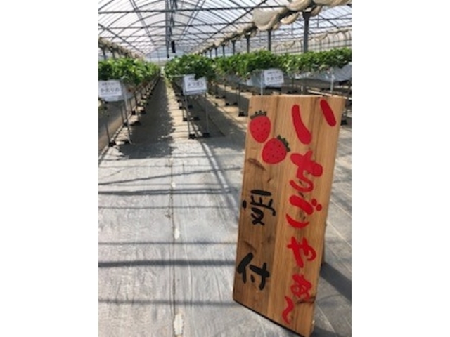 ぼぶるいちごやぁ〜