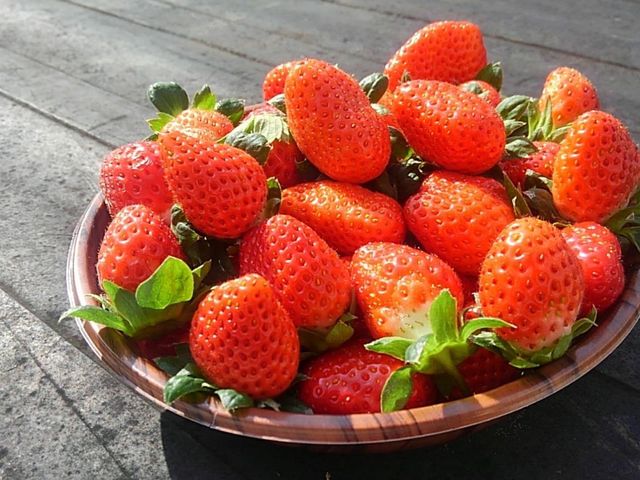 ぼぶるいちごやぁ〜