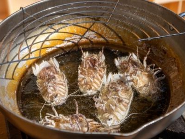 深海生物漁業体験!!
最後のお楽しみ_海来