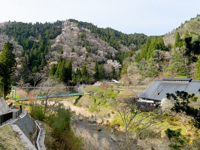 自然豊かな山里にあります_香恋の館
