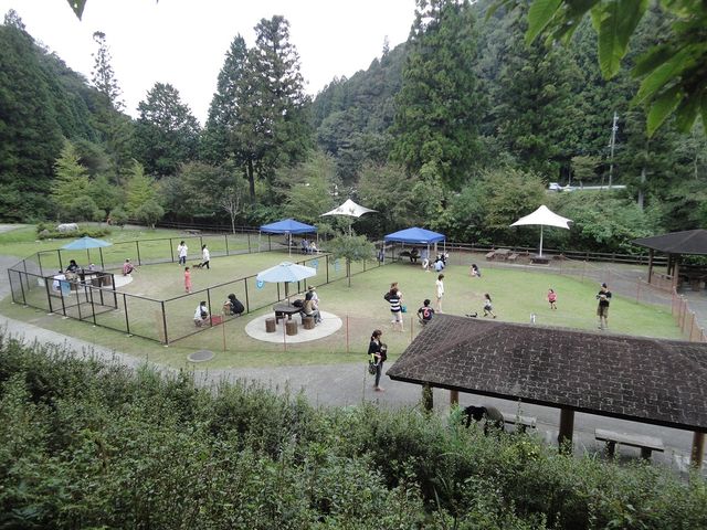 ドッグラン、芝生広場_香恋の館