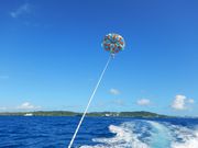 アクアダンサーの写真4