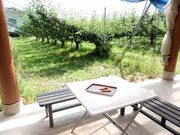 観光農園 橋本園の写真4