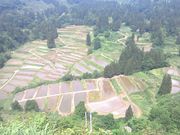 慶地の棚田展望台の写真1