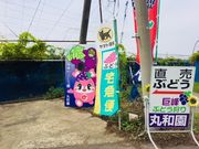 丸和園の写真3