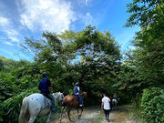 Riding Club Jobard那須の写真3