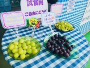 上金ぶどう園の写真3