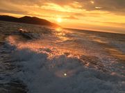 山陰境港 遊漁船 第十 朝日丸の写真2