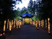 竹とうろうの会の写真1