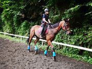 OISO 乗馬 クラブの写真4