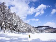Lodge Ravenの写真2