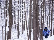 Lodge Ravenの写真3