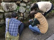 苔庵coqueaの写真4