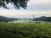 立花園の写真3