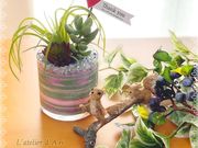 L'atelier d'Ariの写真2