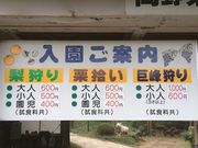 岡野果樹園の写真2