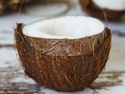 temps lentの写真2