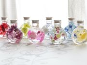 NFD公認校 花のあとりえクランツ天王寺校の写真3