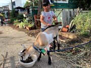 平野観光農園の写真4