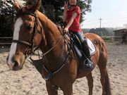 栃の葉乗馬クラブの写真4