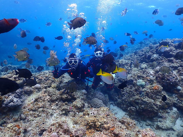 恩納村でお魚たちに囲まれる体験ダイビングのゲスト_S.E.E.D OKINAWA