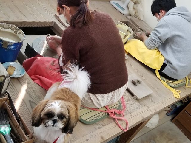 益子焼 ひといろ陶房